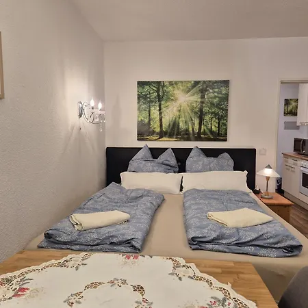 Naturblick Am Rothaarsteig Neue Moderne Mit 2 Badezimmern 2 Kuechen Inklusive Highspeed Internet Flatrate 2x Xxl Boxspringbett 2x Terrassen Und 2x Pkw Parkplaetze 10 Minuten Bis Willingen Ideal Fuer Touristen Und Geschaeftsleute Mit Mws