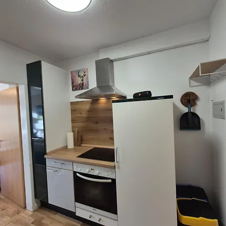 Naturblick Am Rothaarsteig Neue Moderne Mit 2 Badezimmern 2 Kuechen Inklusive Highspeed Internet Flatrate 2x Xxl Boxspringbett 2x Terrassen Und 2x Pkw Parkplaetze 10 Minuten Bis Willingen Ideal Fuer Touristen Und Geschaeftsleute Mit Mws