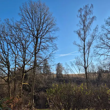 Διαμέρισμα Naturblick Am Rothaarsteig Neue Moderne Mit 2 Badezimmern 2 Kuechen Inklusive Highspeed Internet Flatrate 2x Xxl Boxspringbett 2x Terrassen Und 2x Pkw Parkplaetze 10 Minuten Bis Willingen Ideal Fuer Touristen Und Geschaeftsleute Mit Mws *