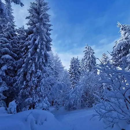 Διαμέρισμα Naturblick Am Rothaarsteig Neue Moderne Mit 2 Badezimmern 2 Kuechen Inklusive Highspeed Internet Flatrate 2x Xxl Boxspringbett 2x Terrassen Und 2x Pkw Parkplaetze 10 Minuten Bis Willingen Ideal Fuer Touristen Und Geschaeftsleute Mit Mws *