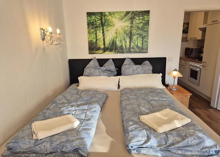 Naturblick Am Rothaarsteig Neue Moderne Mit 2 Badezimmern 2 Kuechen Inklusive Highspeed Internet Flatrate 2x Xxl Boxspringbett 2x Terrassen Und 2x Pkw Parkplaetze 10 Minuten Bis Willingen Ideal Fuer Touristen Und Geschaeftsleute Mit Mws