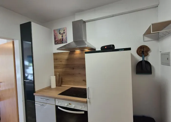 Naturblick Am Rothaarsteig Neue Moderne Mit 2 Badezimmern 2 Kuechen Inklusive Highspeed Internet Flatrate 2x Xxl Boxspringbett 2x Terrassen Und 2x Pkw Parkplaetze 10 Minuten Bis Willingen Ideal Fuer Touristen Und Geschaeftsleute Mit Mws