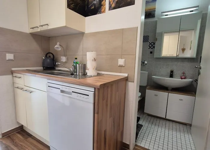Apartman Naturblick Am Rothaarsteig Neue Moderne Mit 2 Badezimmern 2 Kuechen Inklusive Highspeed Internet Flatrate 2x Xxl Boxspringbett 2x Terrassen Und 2x Pkw Parkplaetze 10 Minuten Bis Willingen Ideal Fuer Touristen Und Geschaeftsleute Mit Mws