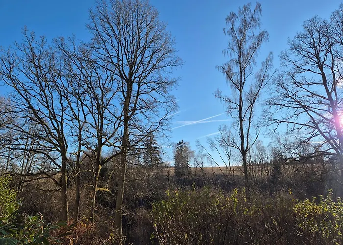 Apartman Naturblick Am Rothaarsteig Neue Moderne Mit 2 Badezimmern 2 Kuechen Inklusive Highspeed Internet Flatrate 2x Xxl Boxspringbett 2x Terrassen Und 2x Pkw Parkplaetze 10 Minuten Bis Willingen Ideal Fuer Touristen Und Geschaeftsleute Mit Mws *