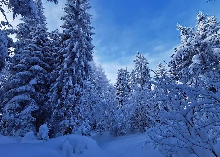 Apartmán Naturblick Am Rothaarsteig Neue Moderne Mit 2 Badezimmern 2 Kuechen Inklusive Highspeed Internet Flatrate 2x Xxl Boxspringbett 2x Terrassen Und 2x Pkw Parkplaetze 10 Minuten Bis Willingen Ideal Fuer Touristen Und Geschaeftsleute Mit Mws *